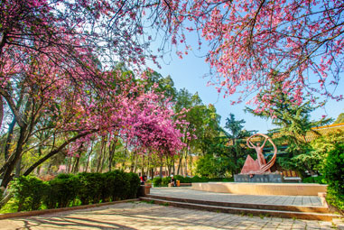 ���ϴ�W3Dȫ��չʾ