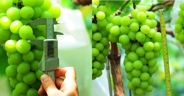 �ďU���ķ�֮�������ш@����Ҳ�ܞ���I(y��)���^����(y��ng)��(y��u)�|(zh��)���(y��ng)��õ��