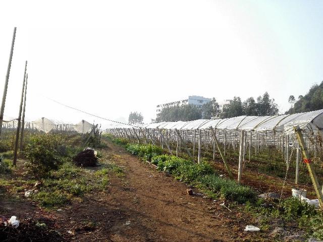 �ďU���ķ�֮�������ш@����Ҳ�ܞ���I(y��)���^����(y��ng)��(y��u)�|(zh��)���(y��ng)��õ��