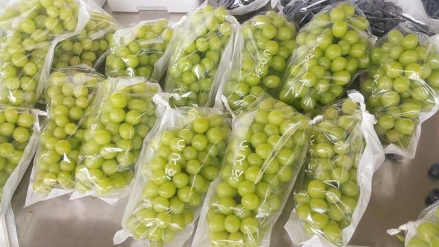 ���C(j��)���������Y���r(n��ng)���T�����ѹܼҞ��九(ji��)�s����(w��)�M(f��i)��15�f