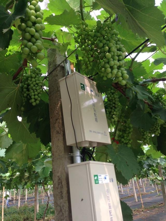 ���C(j��)���������Y���r(n��ng)���T�����ѹܼҞ��九(ji��)�s����(w��)�M(f��i)��15�f