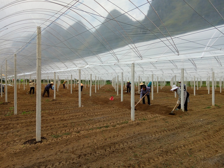 �����a�I(y��)��ؚʾ���������ǻ��r�I(y��)�˜ʻ����a