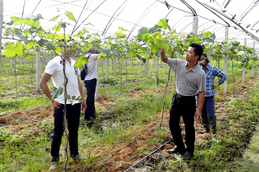 �V���|�m�hɽ�^(q��)�_(k��i)���������ܻ��a(ch��n)�I(y��)��ؚ���a(ch��n)ʾ��