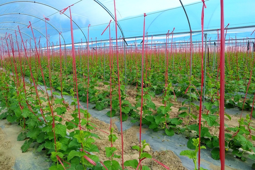 �ǻ��r(n��ng)�I(y��)���ֺ������ǹ��Ƽ���ͨ�a(ch��n)�c�N