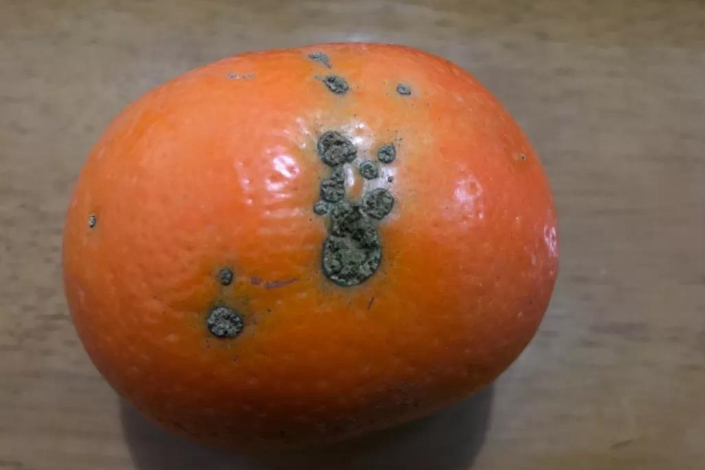 �V���ָ������ǻ��r(n��ng)�I(y��)��������(x��)Ʒ��