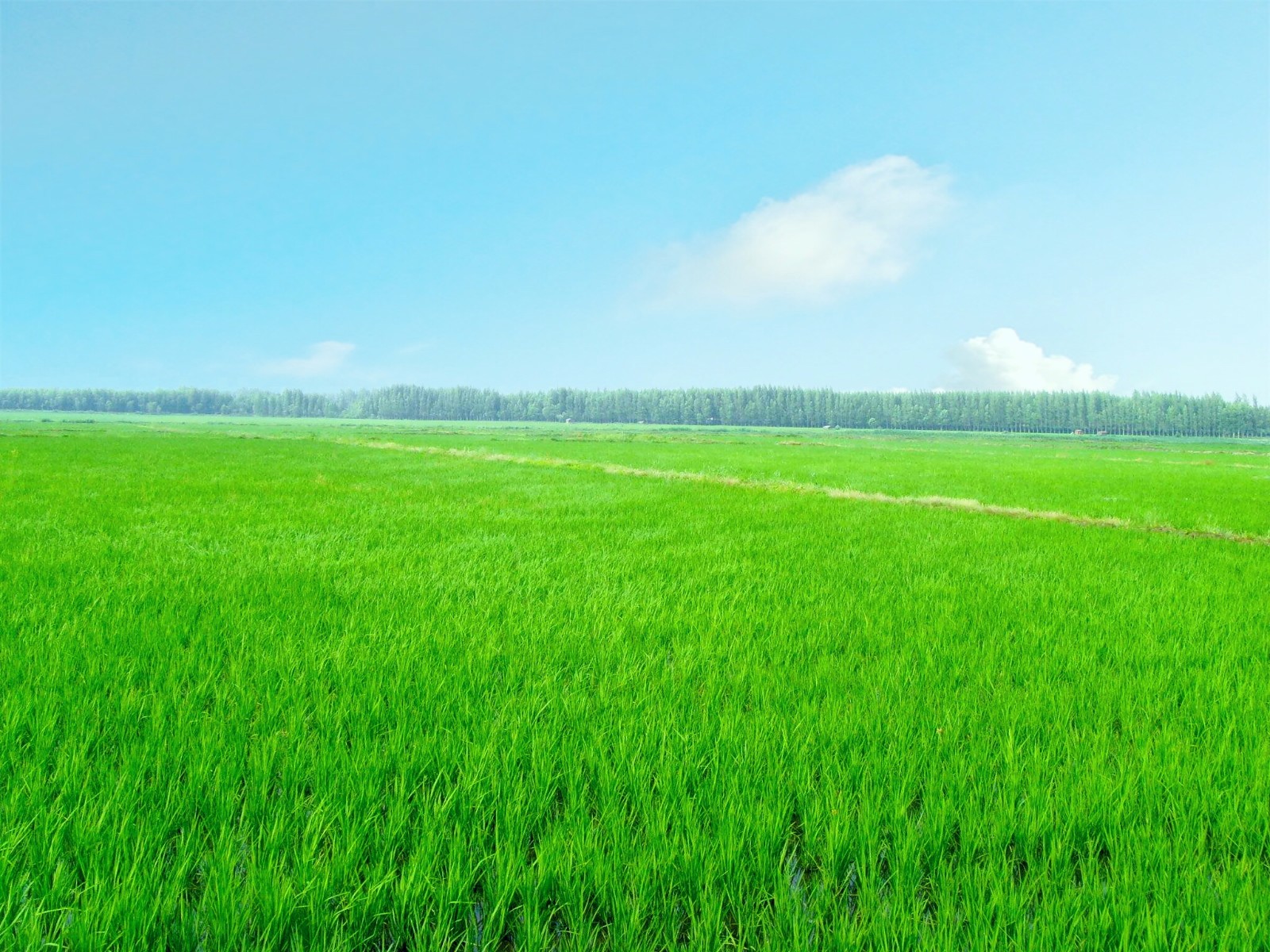 �Gˮ��ɽ���ǽ�ɽ�yɽ�����ǻ��r(n��ng)�I(y��)�������r(n��ng)�I(y��)��(li��n)�W(w��ng)���������B(t��i)�r(n��ng)�I(y��)�����o(h��)�W(w��ng)