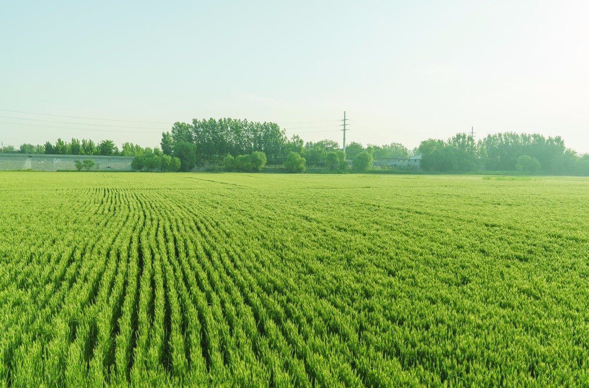 ���vʷ�ӛ�Ŀ��y���S���^(q��)����������ǻ��r(n��ng)�I(y��)�Ŀ�܇���ɞ�һ������