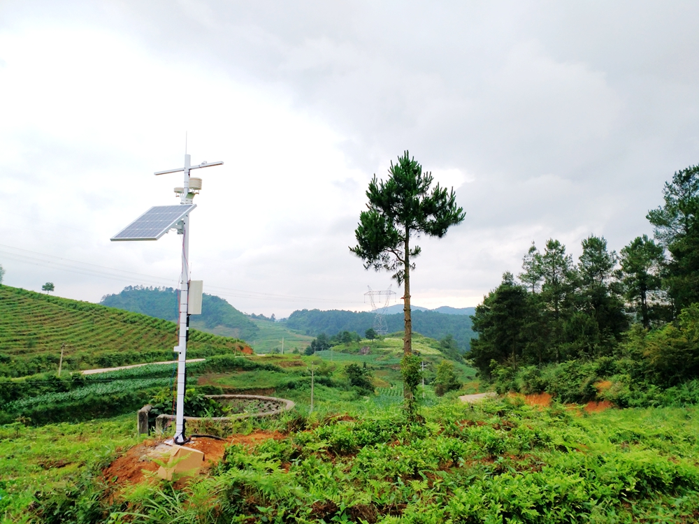 �F�݄�(chu��ng)�� �Y�����~����