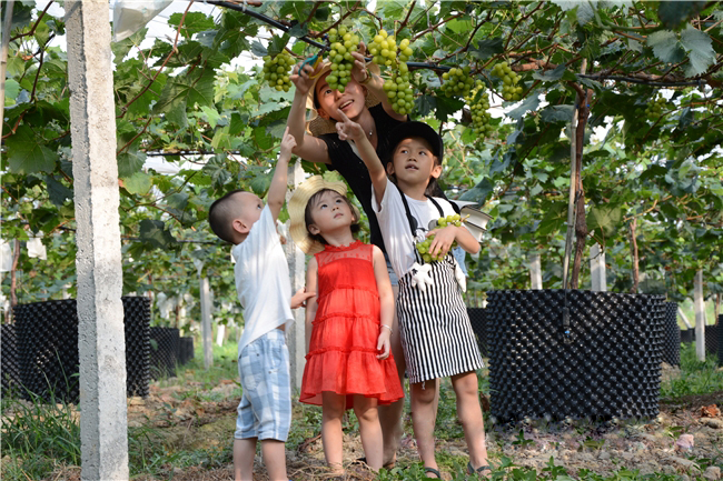 �읙�������ѹܼҷ�ؚʾ�����ء����|�m�hɽ�^(q��)ꖹ�õ�����ш@��һ���������ժ��