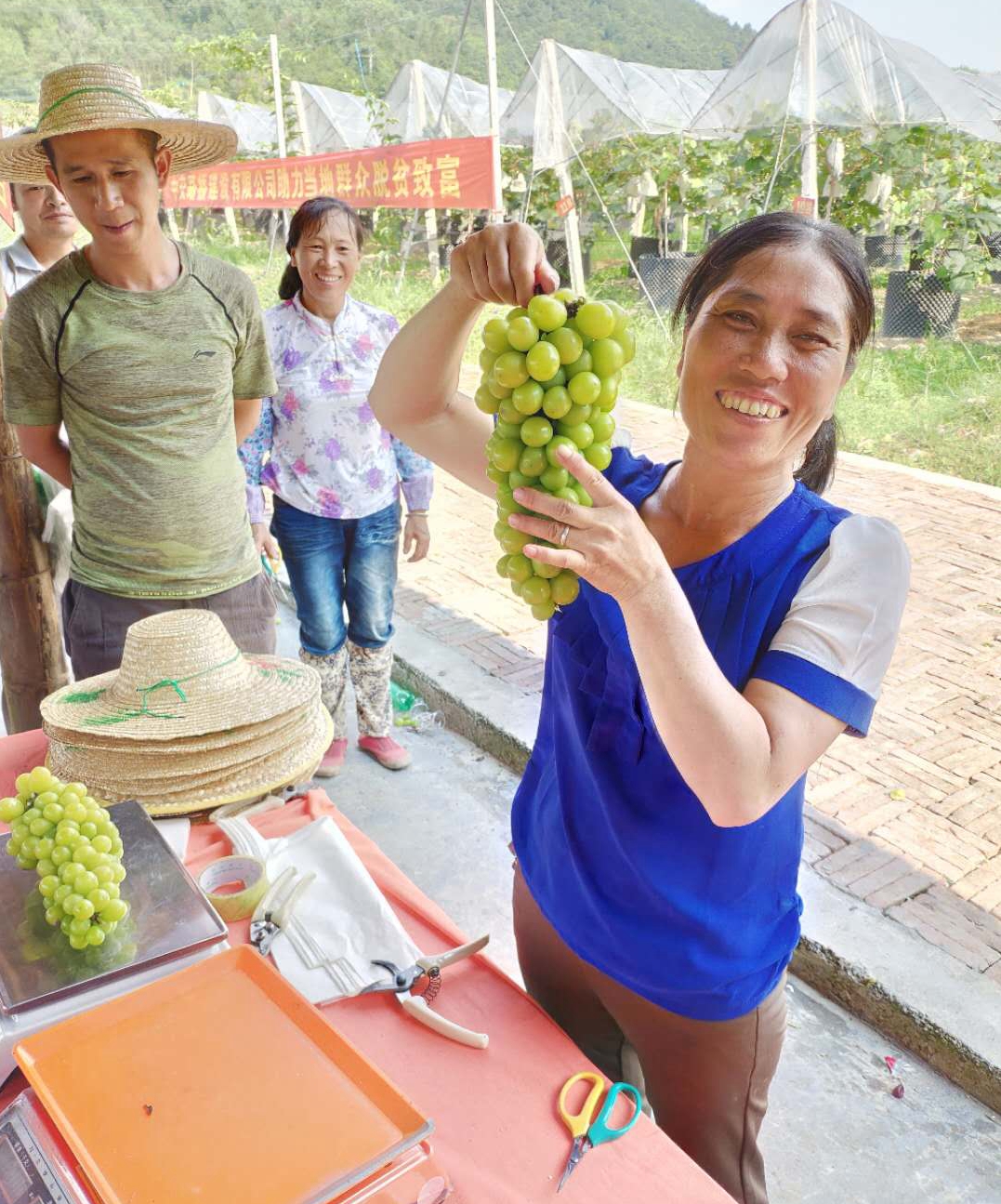 �읙�������ѹܼҷ�ؚʾ�����ء����|�m�hɽ�^(q��)ꖹ�õ�����ш@��һ���������ժ��