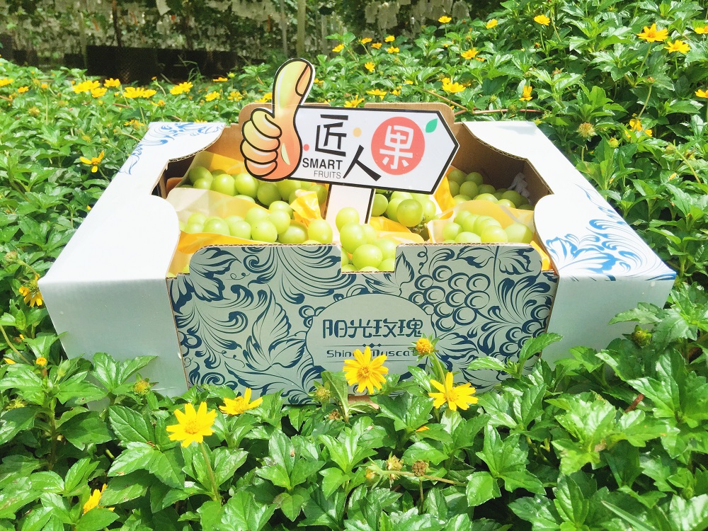 �읙�������a(ch��n)��(sh��)�(y��n)���؏ķN���N����Ʒ�|(zh��)ꖹ�õ���ϼ�����̳�