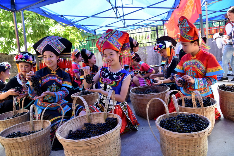 �V�����������r(n��ng)�a(ch��n)Ʒ��Դ���_�N��ͨ·��Ұ��ɽ�����߳���ɽ