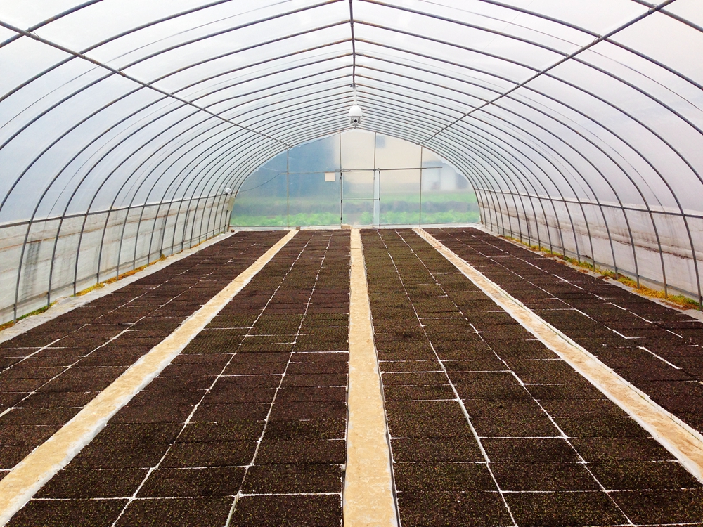 �ƶ�̖(h��o)��(sh��)��(j��)ƽ�_(t��i) ���x�r���(zh��n)