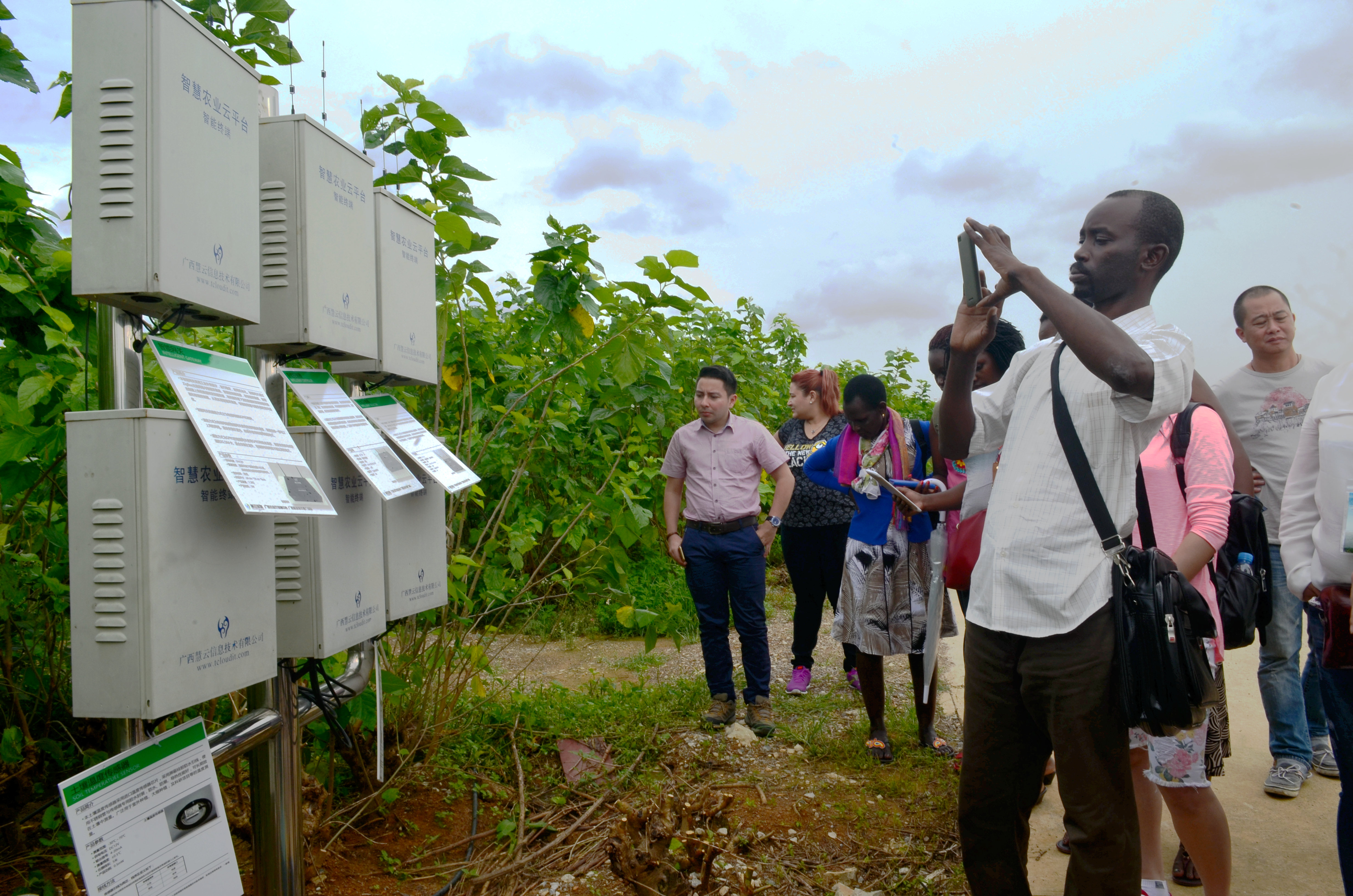 2017 �l(f��)չ�Ї����r(n��ng)�I(y��)��Ϣ�����ް� ���� �ό�