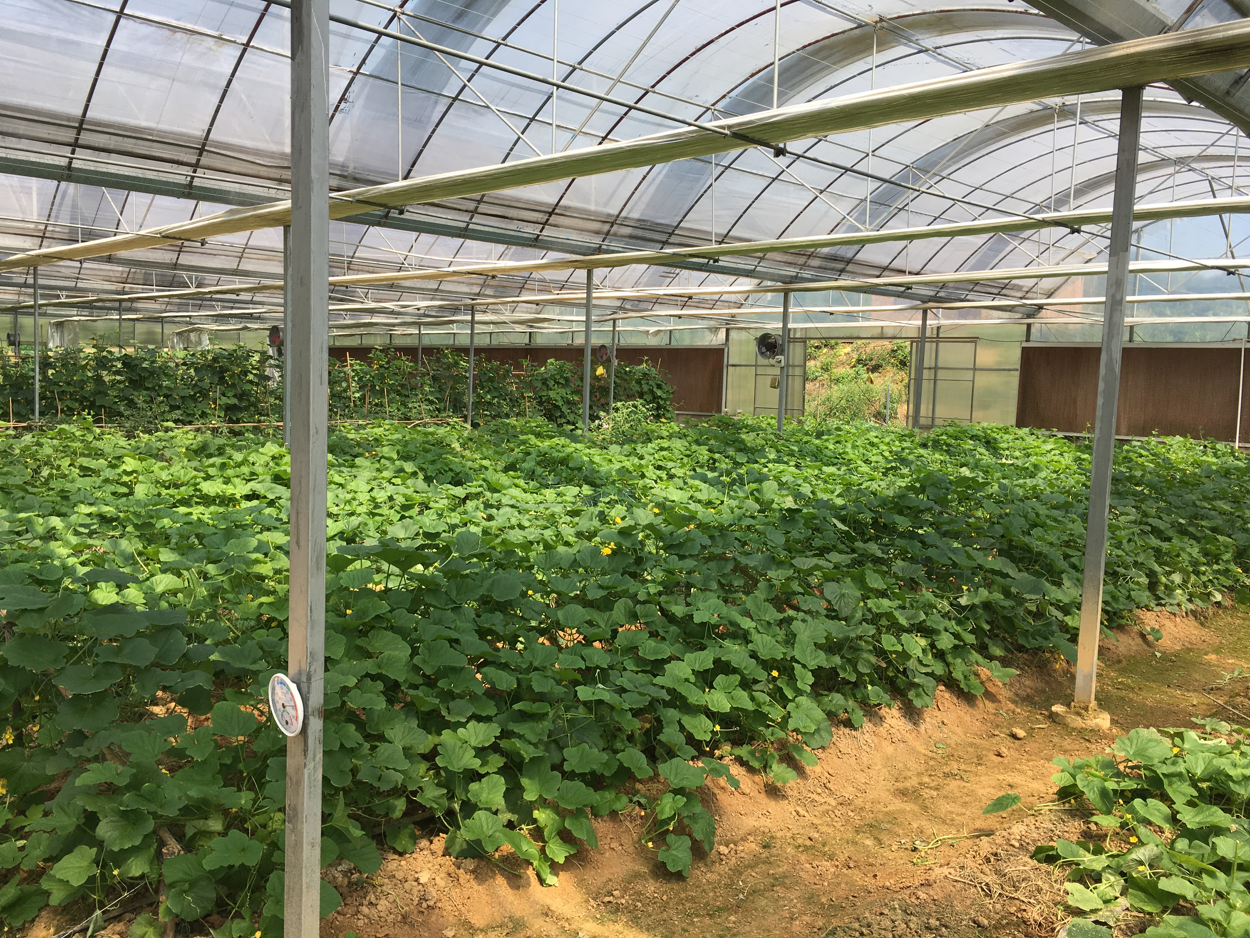 �𶼬F���r�I(y��)�ИI(y��)���߲˘˜ʈ@���ǻ��r�I(y��)ȫ�̰�ȫ��Դ