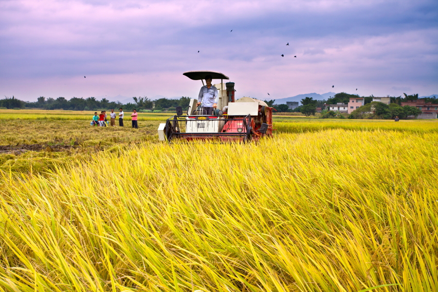 ʲô���ǻ��r(n��ng)�I(y��)�������읙(r��n)�����ķ���(w��)���سɹ�ʾ��