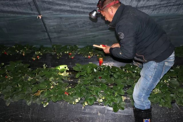 ����ʹ��ݮ���ֵ�c��������ı������ǈԶ����ƵĘ�(bi��o)��(zh��n)������