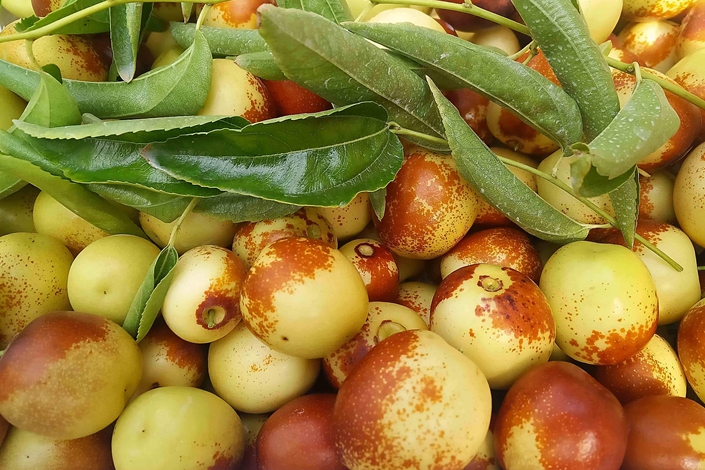 �읙�������ܱO(ji��n)�؃x����С������(w��)��(y��u)��(li��n)�������������������ԃr�ȳ������r(n��ng)��ֵ�Ó���