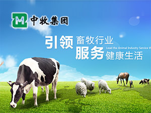 �������F(tu��n)�W(w��ng)վ���O(sh��)