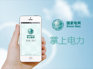 ��(gu��)��늾W(w��ng)95598ƽ�_(t��i)�W(w��ng)վ���O(sh��)