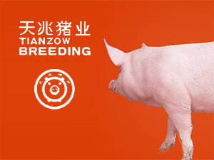 �����i�I(y��)�W(w��ng)վ���O