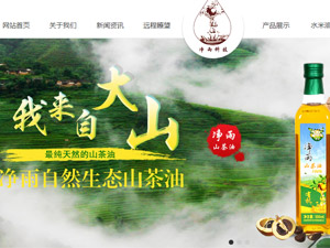 深圳前海凈雨礦泉水科技有限公司網(wǎng)站建設(shè)