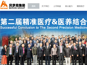 貝羅尼集團(tuán)網(wǎng)站建設(shè)