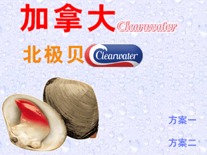 ���ô󱱘Oؐ�W(w��ng)վ���O(sh��)