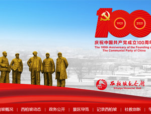 �����¼tɫ���΅^(q��)�W(w��ng)վ���O