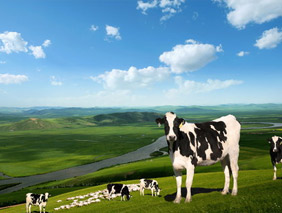 ��(ji��)�ܭh(hu��n)���W(w��ng)վ���O(sh��)����