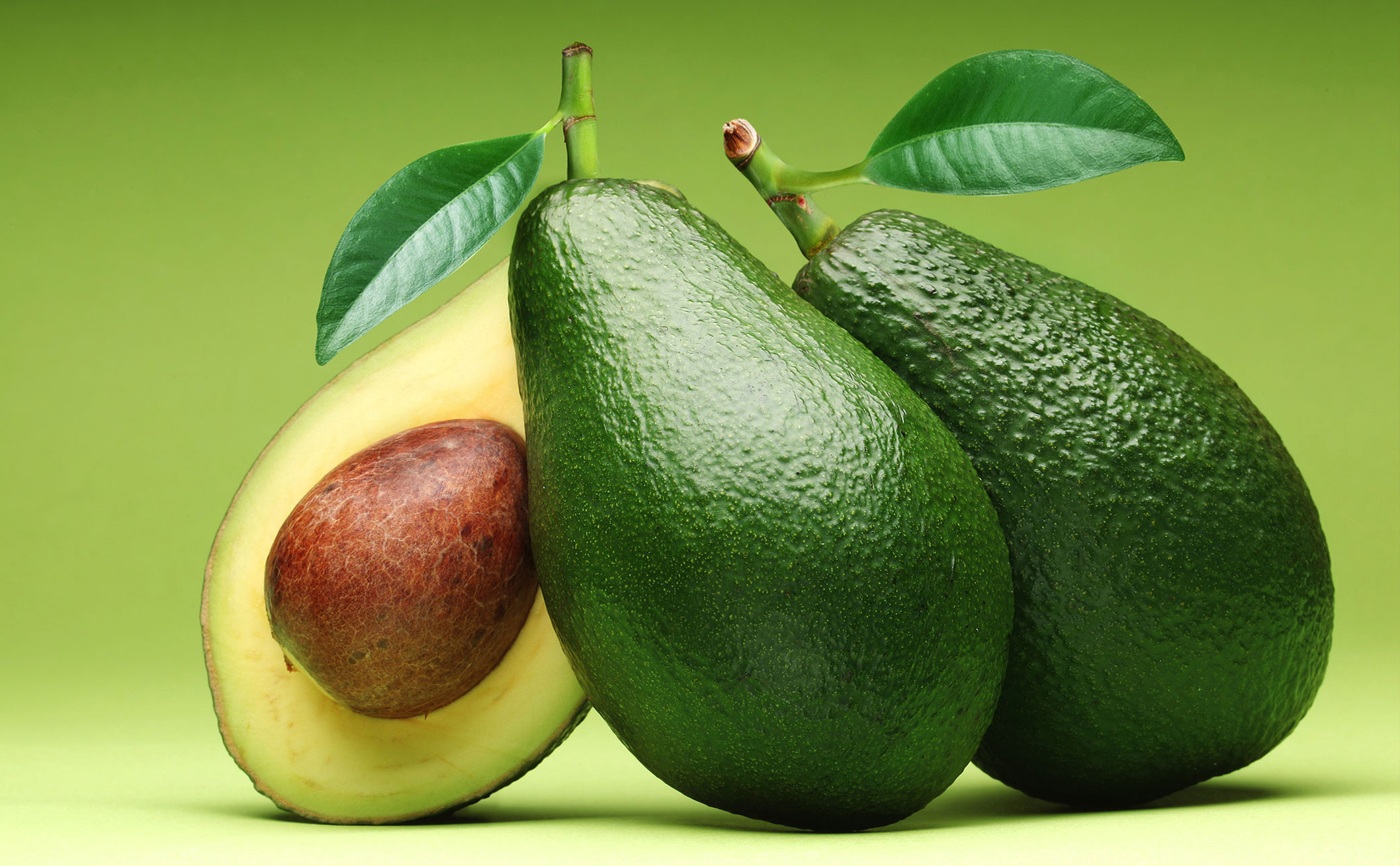 �п�Ժ�īI�������