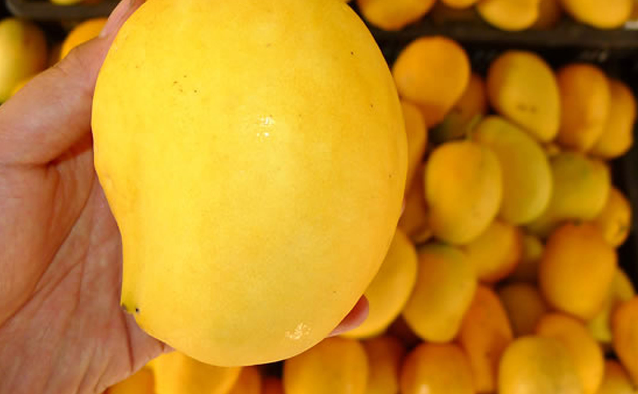 ���A���񹲺͇�˾����