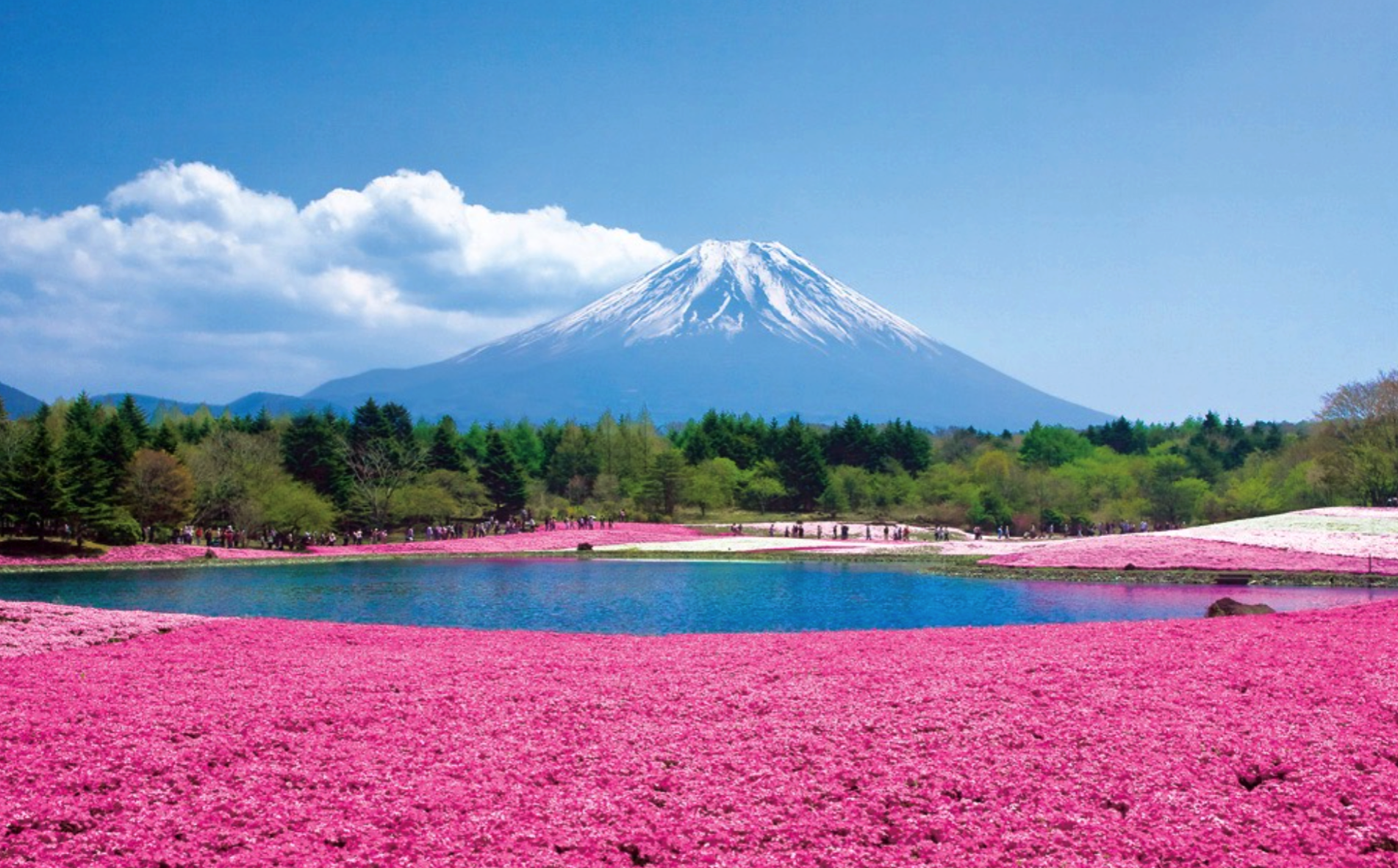 禪意設(shè)計之網(wǎng)絡(luò)簡潔設(shè)計的緣起和未來 禪意設(shè)計之網(wǎng)絡(luò)簡潔設(shè)計的緣起和未來