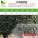 ��ľ�{(l��n)�W(w��ng)վ���O(sh��)